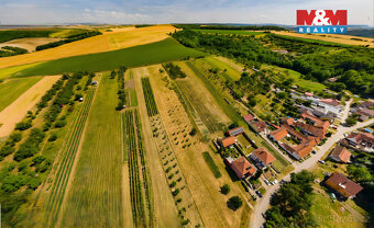 Prodej pozemku k bydlení, 7835 m², Borkovany - 3