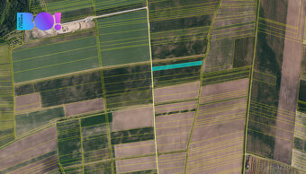 Prodej pole, 9400 m², Přibice - 3