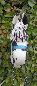 Hobby horse - 3