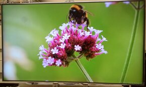 Prodam Samsung UE40ES8000-101cm FullHD LEDTV 1920x1080.Zaruk - 3