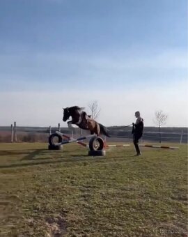 Úžasný Valášek do pony sportu - 3