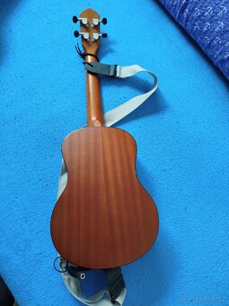 Ukulele - 3