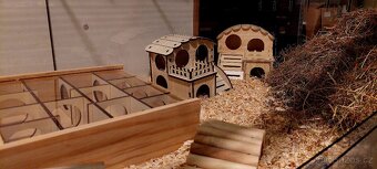 ‼️‼️ AKTUALIZOVÁN‼️‼️ ✅🐹😊 VYBAVENÁ KLEC PRO HLODAVCE 😊🐹✅ - 3