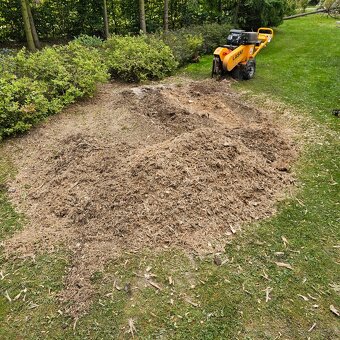 Likvidace, odstranění pařezů, frézování pařezu - 3