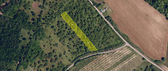 Dolní Kounice (2 459 m2) - 3