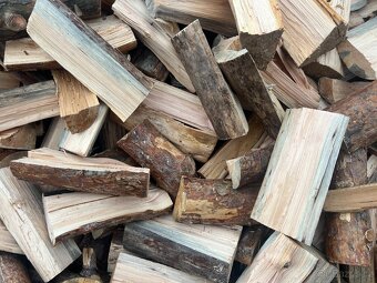 Palivové dřevo - 3