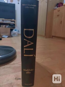 Kniha Dalí malířské dílo - 3