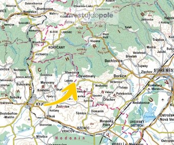 Prodej vinice v k.ú. Osvětimany - 3