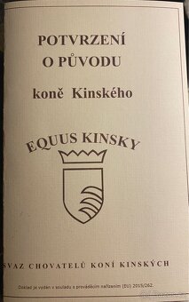 Kinský hřebeček - 3