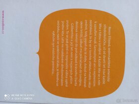 Prodám knihu "Danteho holka" - 3