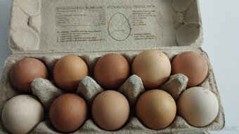 Domácí vajíčka - 3