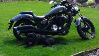 YAMAHA XVS 1300 CUSTOM (STRYKER) - 3