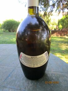 Gold Asconi Muscat - 3