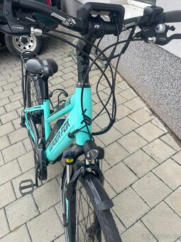 Leder Fox El kolo - 3