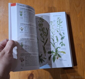Knížka  herbář. Co tu kvete? - 3