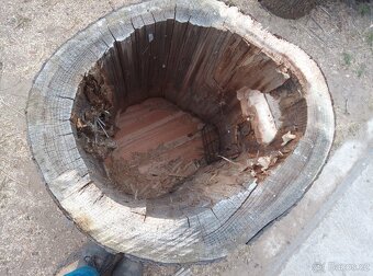 Kmenová budka ARA - 3