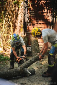 Kácení stromů • Péče o zahradu • Likvidace Dřevin - 3