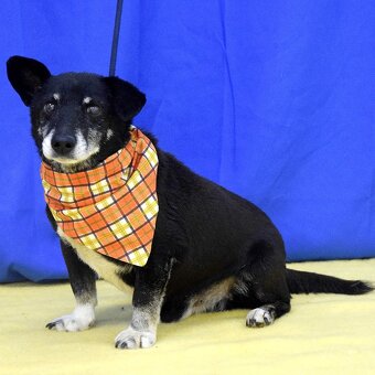 Leoš hledá domov - 3