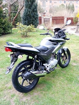 Honda CBF 125 - 3
