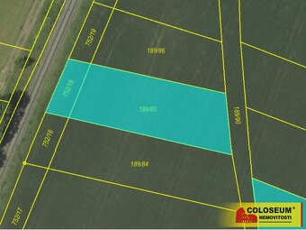 Světlá, zahrada, orná půda, 20 280 m2 – pozemek - 3