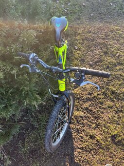 Dětské kolo Arcore - 3