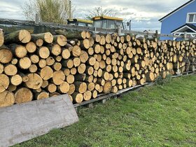 Suché tvrdé palivové dřevo v metrových kládách - 3