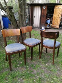 Starožitné židle Thonet_cena za kus - 3