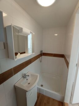 Atelier - se zahrádkou novostavba 1kk 22m2 + 10m2 Michle - 3