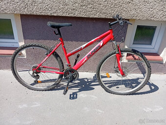 Olpran 24" - 3