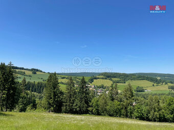 Prodej pozemků o velikosti 25164 m² v k.ú. Spělkov - 3