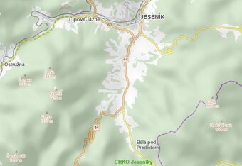 Prodej louky v k.ú. Domašov u Jeseníka - 3