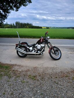 FXSTC EVO - 3