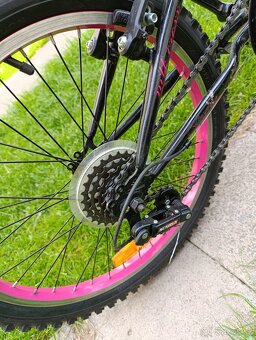 Swan "20" mtb croxx - 3