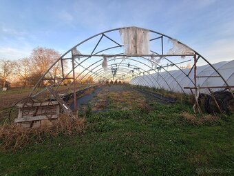 Foliák,foliovník. - 3