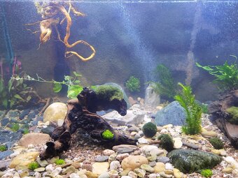 Prodám velké akvárium 700 litrů - 3