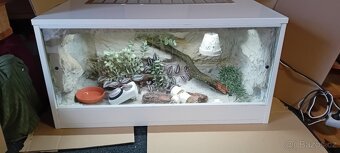 Terárium - 3