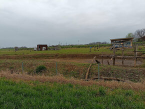 zahrada pronajem 500 m2 - 3