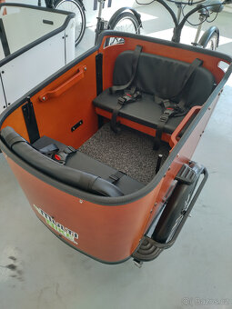 Cargo kolo elektro nosnost 200kg - 3