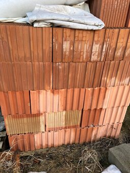 Cihly Heluz 44 Family - 3