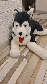 Plyšový Husky pes,80cm dlouhý - 3