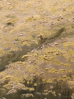 Obraz, Žluté pole, olej na plátně 48x56 - 3