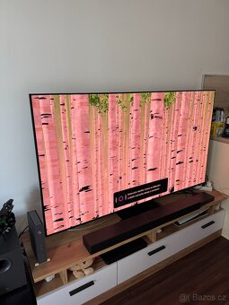 Televize 65" Samsung QE65S95D - 3