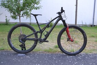 Specialized S-WORKS Stumpjumper (L) - 3