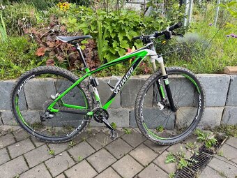 Kolo Specialized StumpJumper Comp 29 vel.S - 3