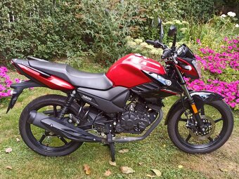 Yamaha YS125 - 3