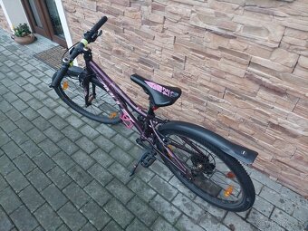 Dětské kolo AMULET TOMCAT 24 - 3