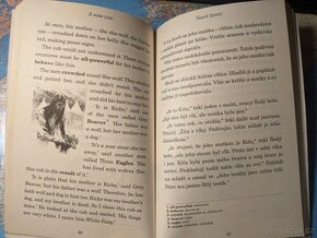 White Fang – dvoujazyčná kniha – úroveň A2–B1 - 3