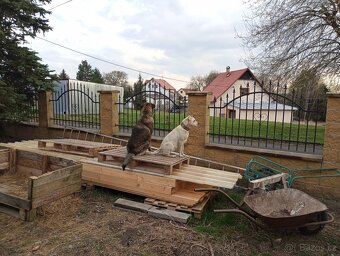 Fenka - 3