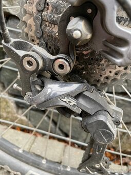 Radon ZR Team 8.0 - 3