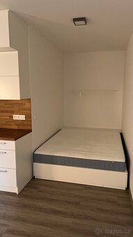 Pronájem bytu 1+kk 30 m² - 3
